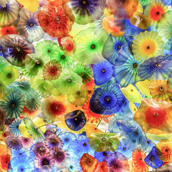 Пазл: Цветные медузы