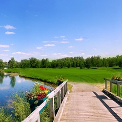 Пазл: Мостик