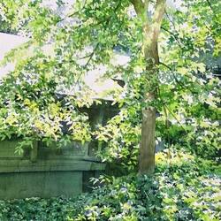 Пазл: Около дома