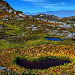 Пазл: Красоты природы