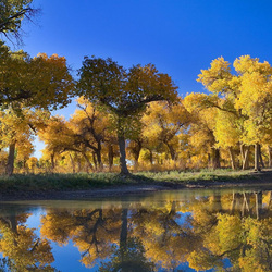 Пазл: Осень
