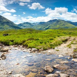 Пазл: Летняя зелень травы