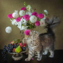 Пазл:  У меня хвост, как букет