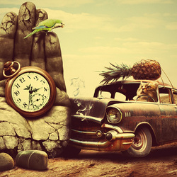 Пазл: Засмотрелся