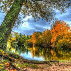 Пазл: Осень