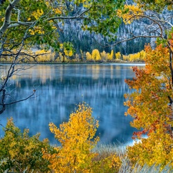 Пазл: Осень