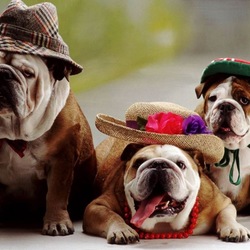 Пазл: Семейство