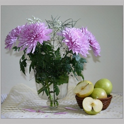 Пазл: Хризантемы и яблоки