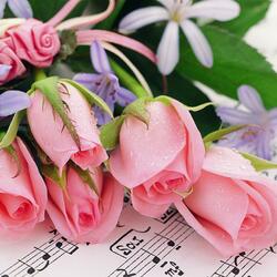 Пазл: Соната