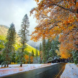 Пазл: Первый снег