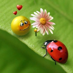 Пазл: Любовь