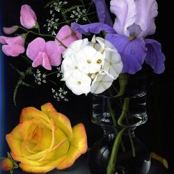 Пазл:  Натюрморт 