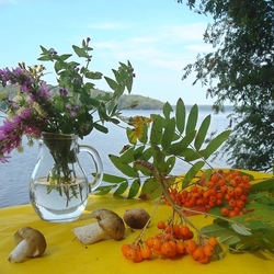 Пазл: На фоне озера