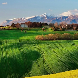 Пазл: Зеленые луга