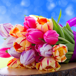 Пазл: Весенние цветы