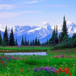 Пазл: Пейзаж