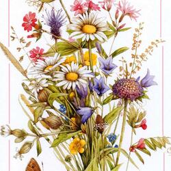 Пазл: Ромашки 