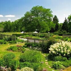 Пазл: Хендри парк, Гамильтон