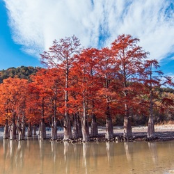 Пазл: Сукко