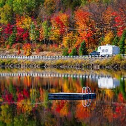 Пазл: Золотая осень