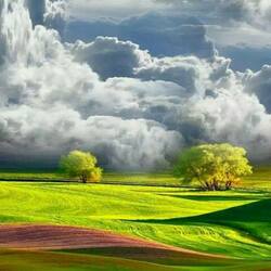 Пазл: Поля Тосканы