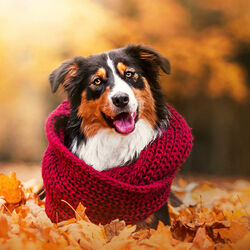 Пазл: Утепляемся