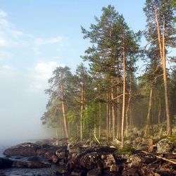 Пазл: Туман над водой