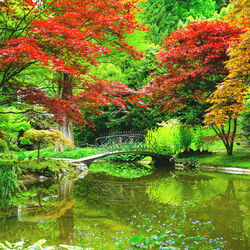 Пазл: Японский сад