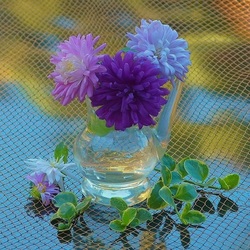 Пазл: Осенние астры