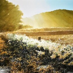 Пазл: Солнечный день