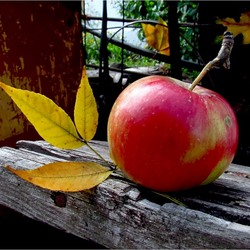 Пазл: Наливное яблочко