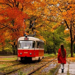 Пазл: Трамвай