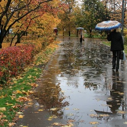 Пазл: Дождливо