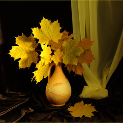 Пазл: Осенний цвет