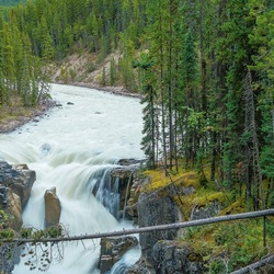 Пазл: Поток реки