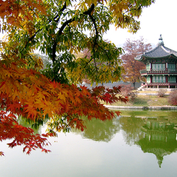 Пазл: Южная Корея