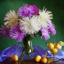 Пазл: Астры