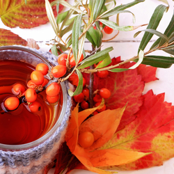 Пазл: Облепиховый чай