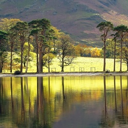 Пазл: Осень у гор
