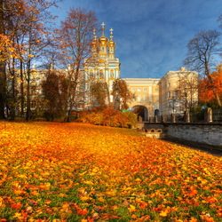 Пазл: Золотая осень 