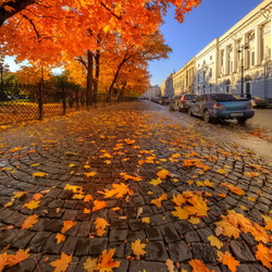 Пазл: Петербургская золотая осень