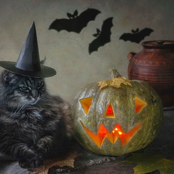 Пазл: Котохэллоуин