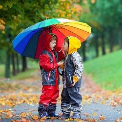Пазл: Золотая осень