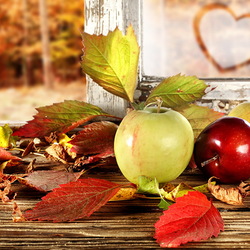 Пазл: Осень