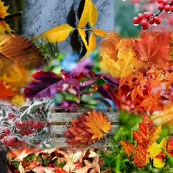 Пазл: Осень