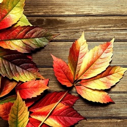 Пазл: Осень