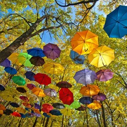 Пазл: Осень