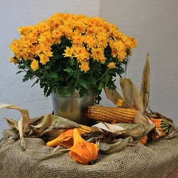 Пазл: Осенний натюрморт