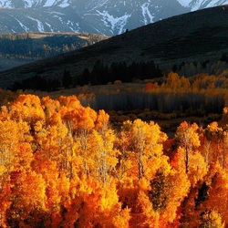 Пазл: Осень в горах
