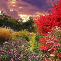 Пазл: Краски осени